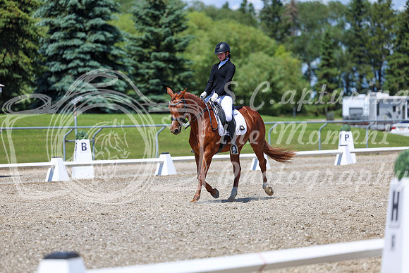 12665 - 2026 Dressage Festival - Sunday July 5th