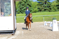 01233 - 2026 Dressage Festival - Sunday July 5th