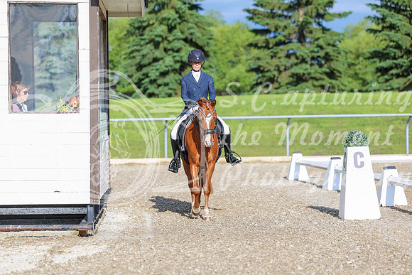 01234 - 2026 Dressage Festival - Sunday July 5th