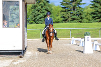 01236 - 2026 Dressage Festival - Sunday July 5th