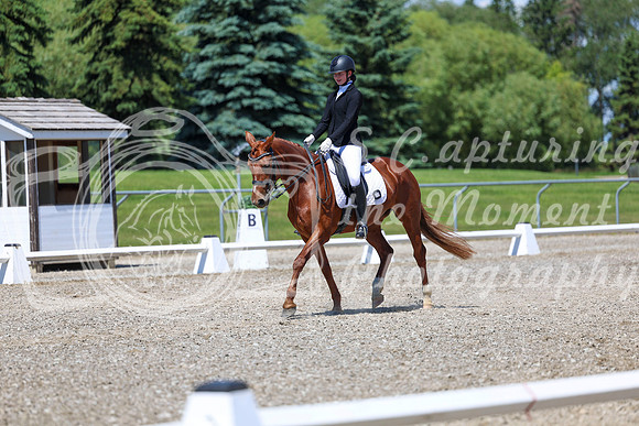 12667 - 2026 Dressage Festival - Sunday July 5th
