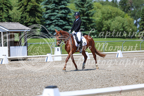 12668 - 2026 Dressage Festival - Sunday July 5th