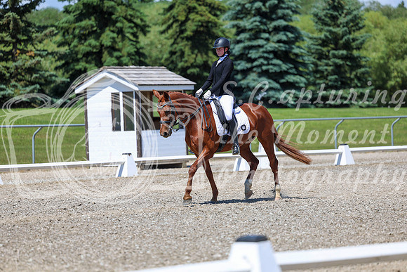 12669 - 2026 Dressage Festival - Sunday July 5th