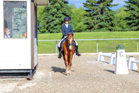 01237 - 2026 Dressage Festival - Sunday July 5th