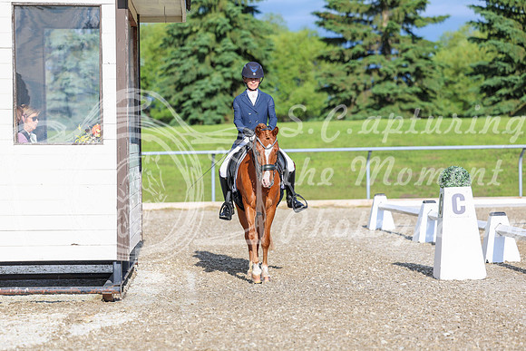 01237 - 2026 Dressage Festival - Sunday July 5th