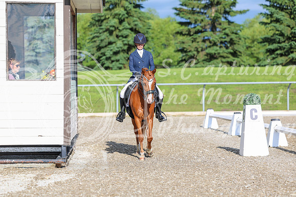 01238 - 2026 Dressage Festival - Sunday July 5th