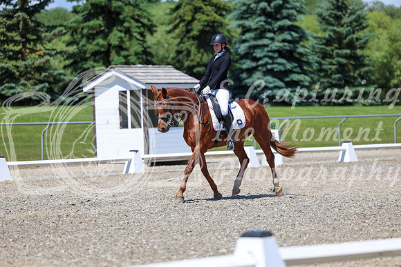 12671 - 2026 Dressage Festival - Sunday July 5th