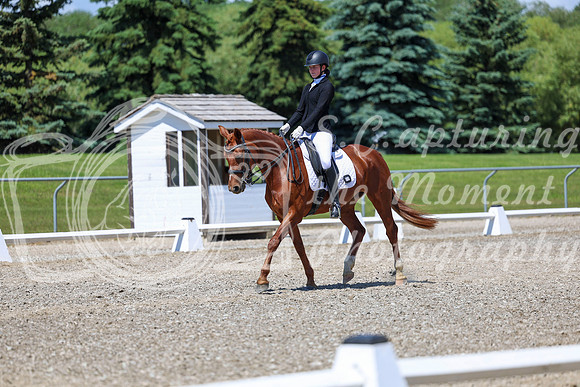 12670 - 2026 Dressage Festival - Sunday July 5th