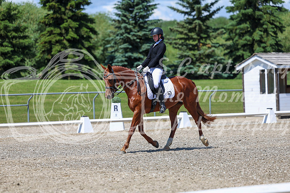 12673 - 2026 Dressage Festival - Sunday July 5th
