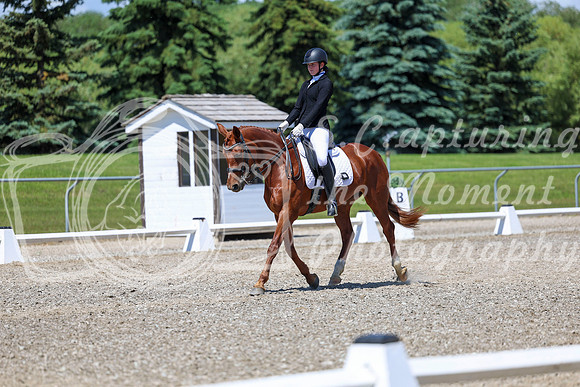 12672 - 2026 Dressage Festival - Sunday July 5th