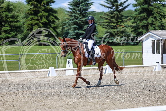 12674 - 2026 Dressage Festival - Sunday July 5th