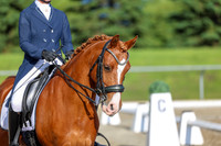 01242 - 2026 Dressage Festival - Sunday July 5th