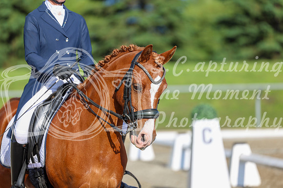01242 - 2026 Dressage Festival - Sunday July 5th