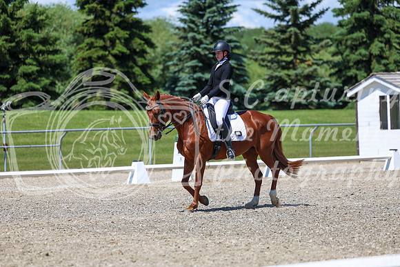12676 - 2026 Dressage Festival - Sunday July 5th