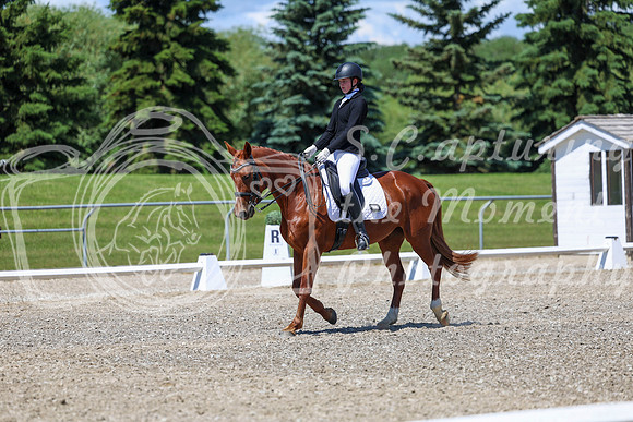 12675 - 2026 Dressage Festival - Sunday July 5th