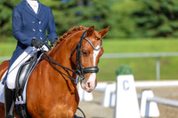 01243 - 2026 Dressage Festival - Sunday July 5th