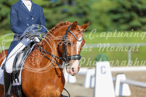 01243 - 2026 Dressage Festival - Sunday July 5th