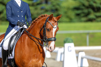 01244 - 2026 Dressage Festival - Sunday July 5th