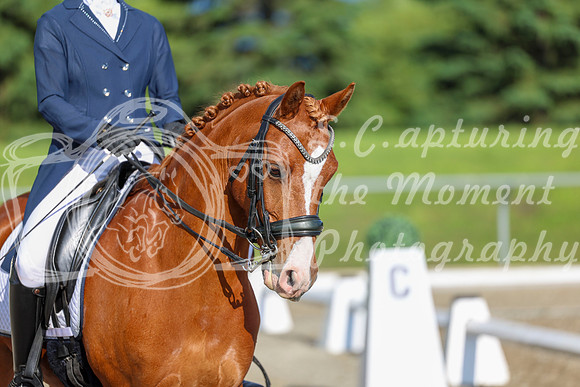01244 - 2026 Dressage Festival - Sunday July 5th