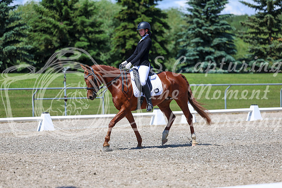 12678 - 2026 Dressage Festival - Sunday July 5th