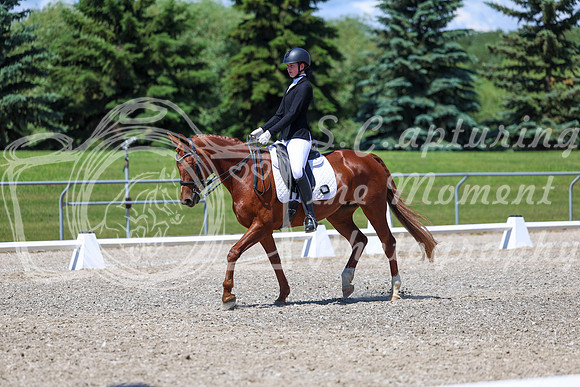 12677 - 2026 Dressage Festival - Sunday July 5th