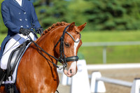 01246 - 2026 Dressage Festival - Sunday July 5th