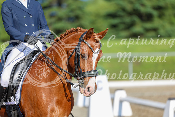 01246 - 2026 Dressage Festival - Sunday July 5th