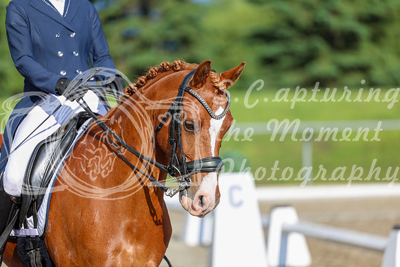 01245 - 2026 Dressage Festival - Sunday July 5th