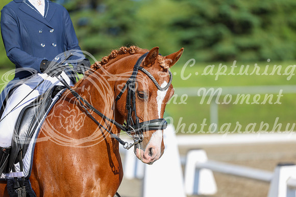 01247 - 2026 Dressage Festival - Sunday July 5th