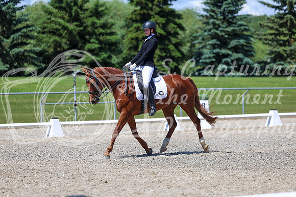 12680 - 2026 Dressage Festival - Sunday July 5th