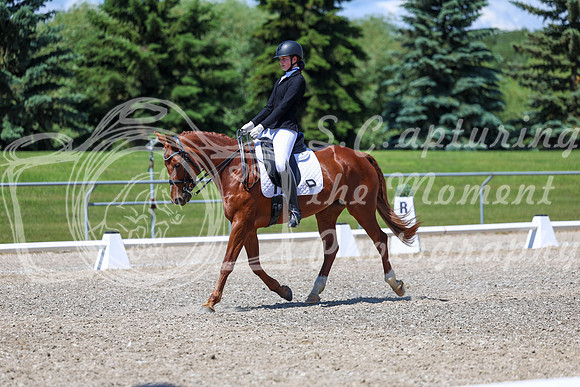 12681 - 2026 Dressage Festival - Sunday July 5th