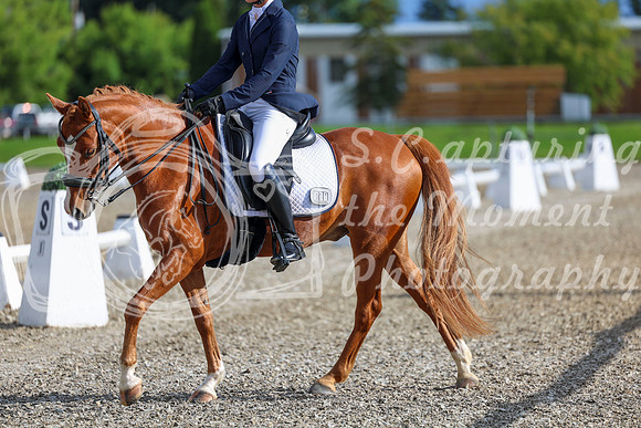 01248 - 2026 Dressage Festival - Sunday July 5th