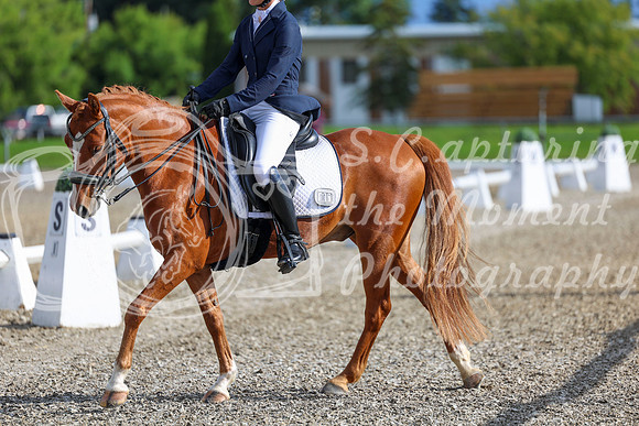 01249 - 2026 Dressage Festival - Sunday July 5th