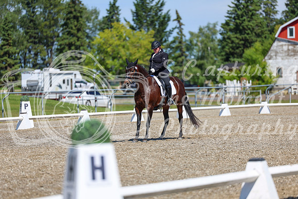 09269 - 2026 Dressage Festival - Sunday July 5th