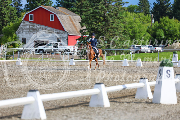 01252 - 2026 Dressage Festival - Sunday July 5th