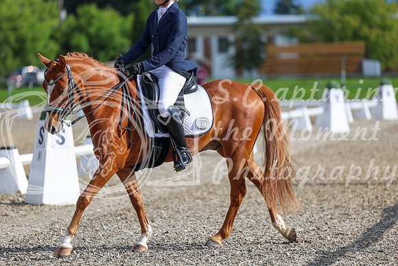 01250 - 2026 Dressage Festival - Sunday July 5th