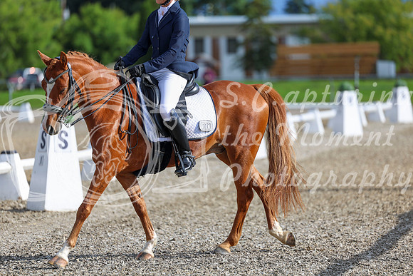 01251 - 2026 Dressage Festival - Sunday July 5th