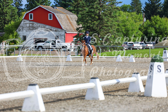 01254 - 2026 Dressage Festival - Sunday July 5th