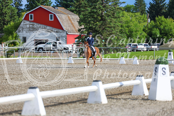 01253 - 2026 Dressage Festival - Sunday July 5th