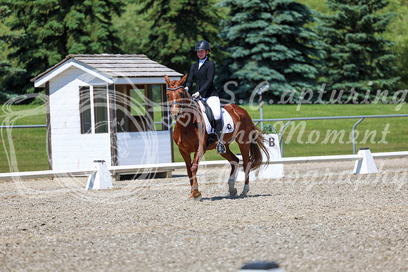 12727 - 2026 Dressage Festival - Sunday July 5th