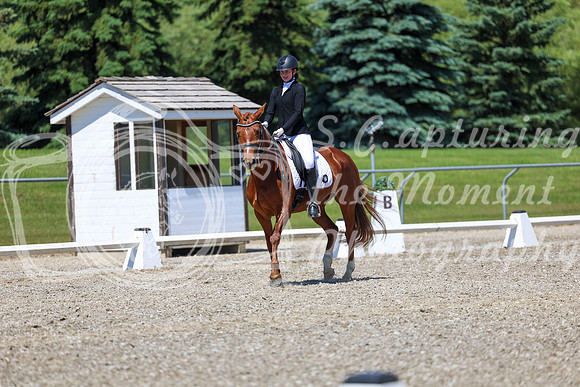 12728 - 2026 Dressage Festival - Sunday July 5th