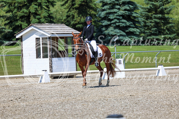 12729 - 2026 Dressage Festival - Sunday July 5th