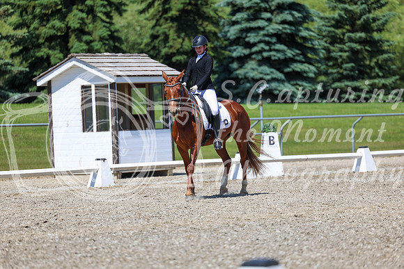 12730 - 2026 Dressage Festival - Sunday July 5th