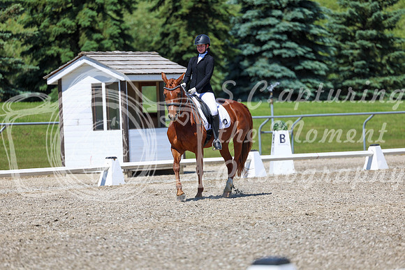 12731 - 2026 Dressage Festival - Sunday July 5th