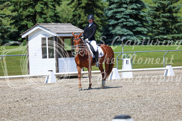 12732 - 2026 Dressage Festival - Sunday July 5th