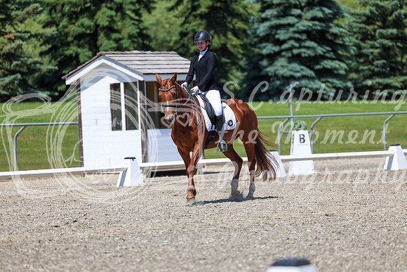 12736 - 2026 Dressage Festival - Sunday July 5th