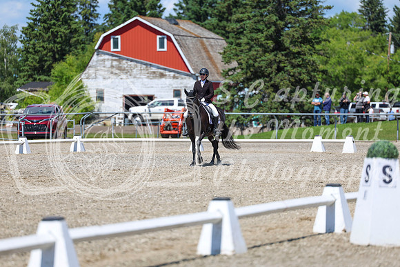 13690 - 2026 Dressage Festival - Sunday July 5th