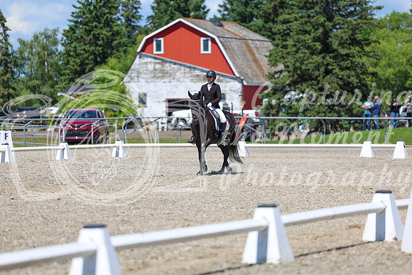 13693 - 2026 Dressage Festival - Sunday July 5th