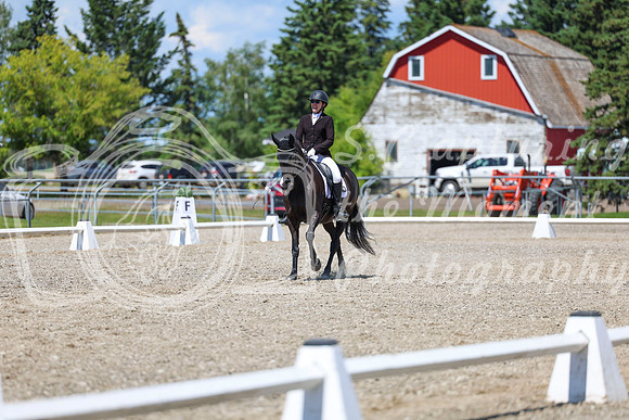 13698 - 2026 Dressage Festival - Sunday July 5th
