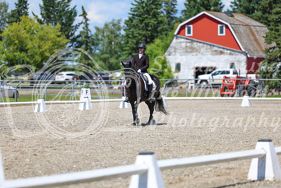 13700 - 2026 Dressage Festival - Sunday July 5th